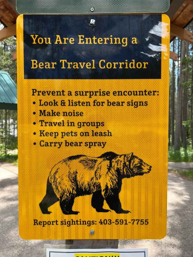 Are Yurts Bear Proof