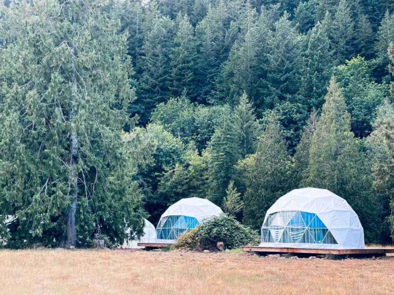 Glamping Dome Cost