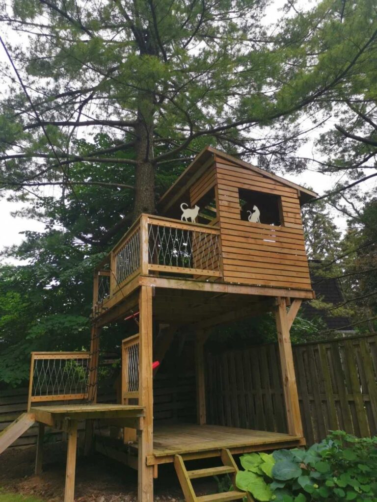 The Worst Trees For Treehouse