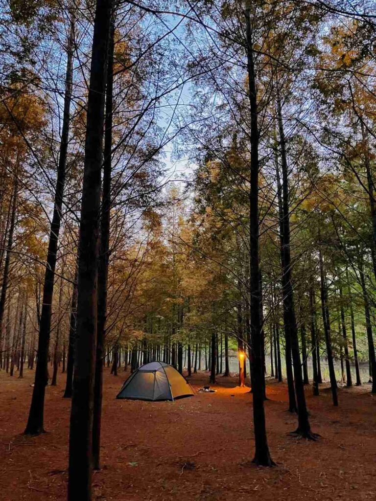 The Best Time Of Year To Go Camping
