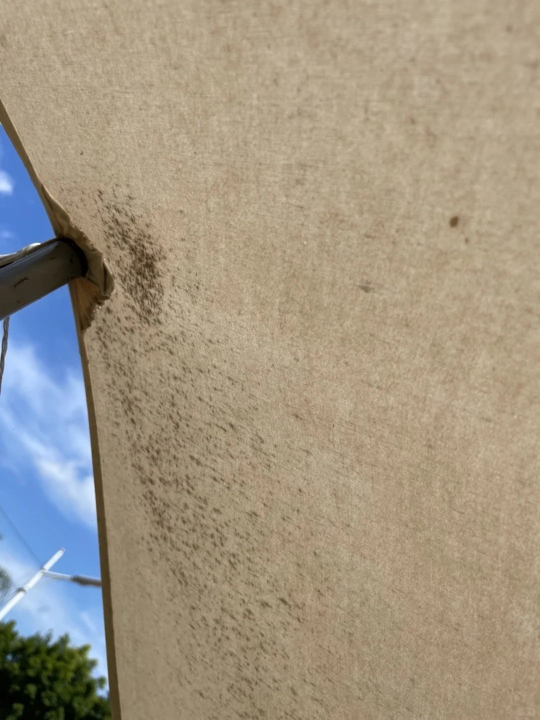 How to Wash a Tent Fly? - CampingAttitude.com