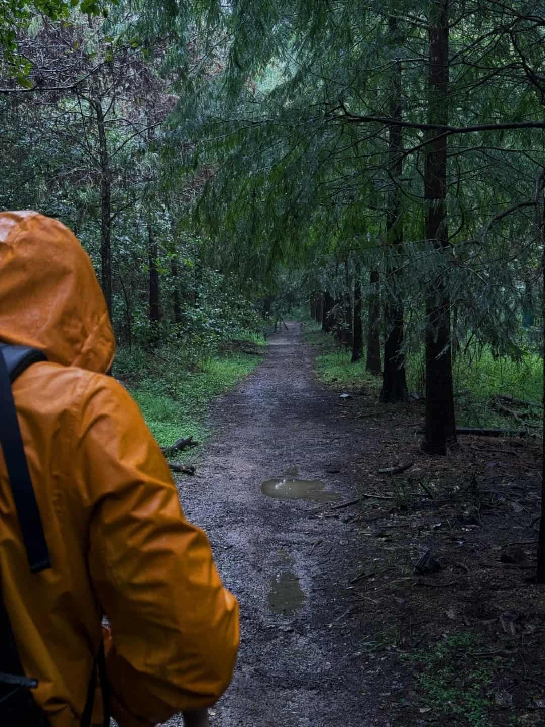 13 Small Hiking Habits That Yield Stupidly Great Results