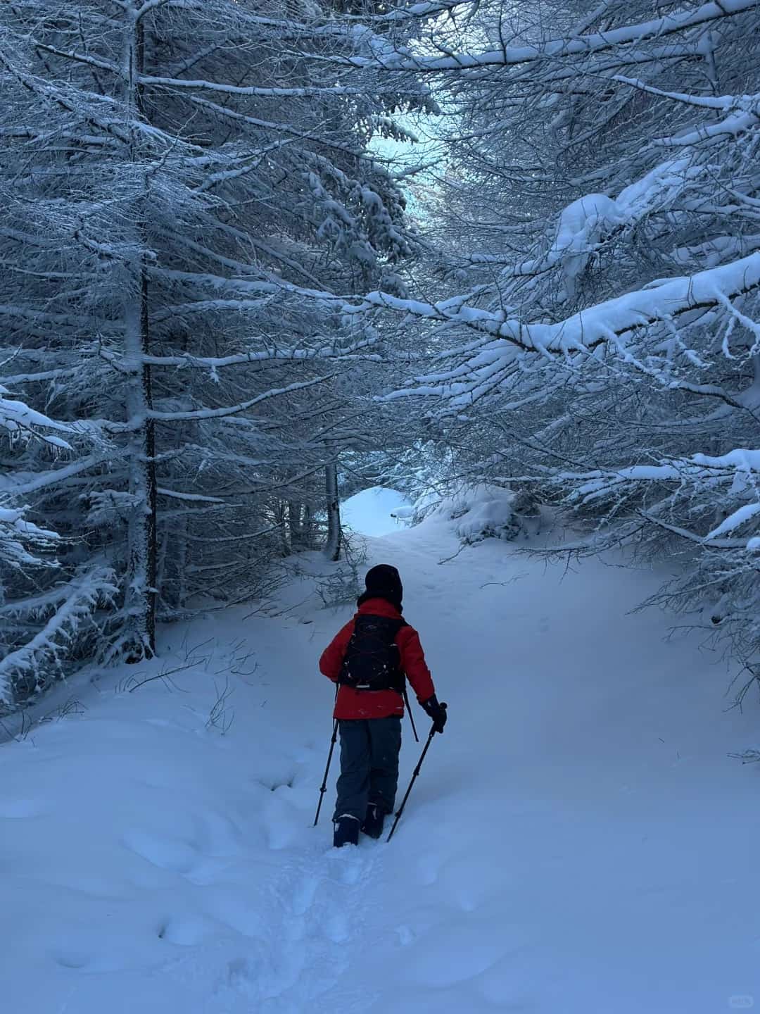 6 Mistakes to Avoid During Winter Hiking and What to Do Instead