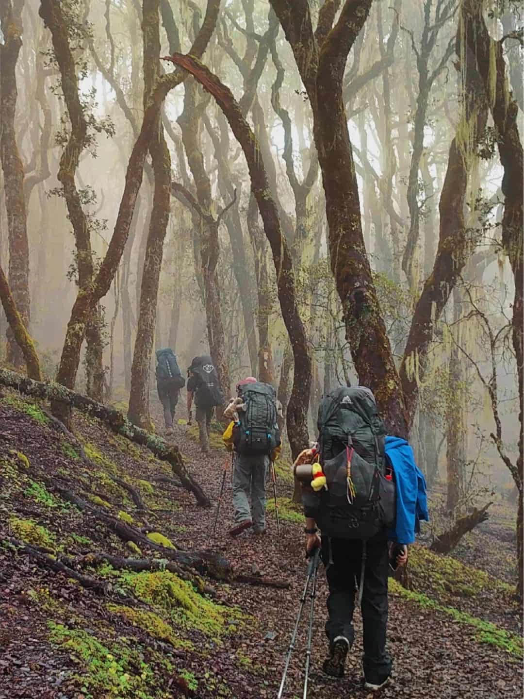 6 Stupidly Simple Backpacking Tips That Actually Work