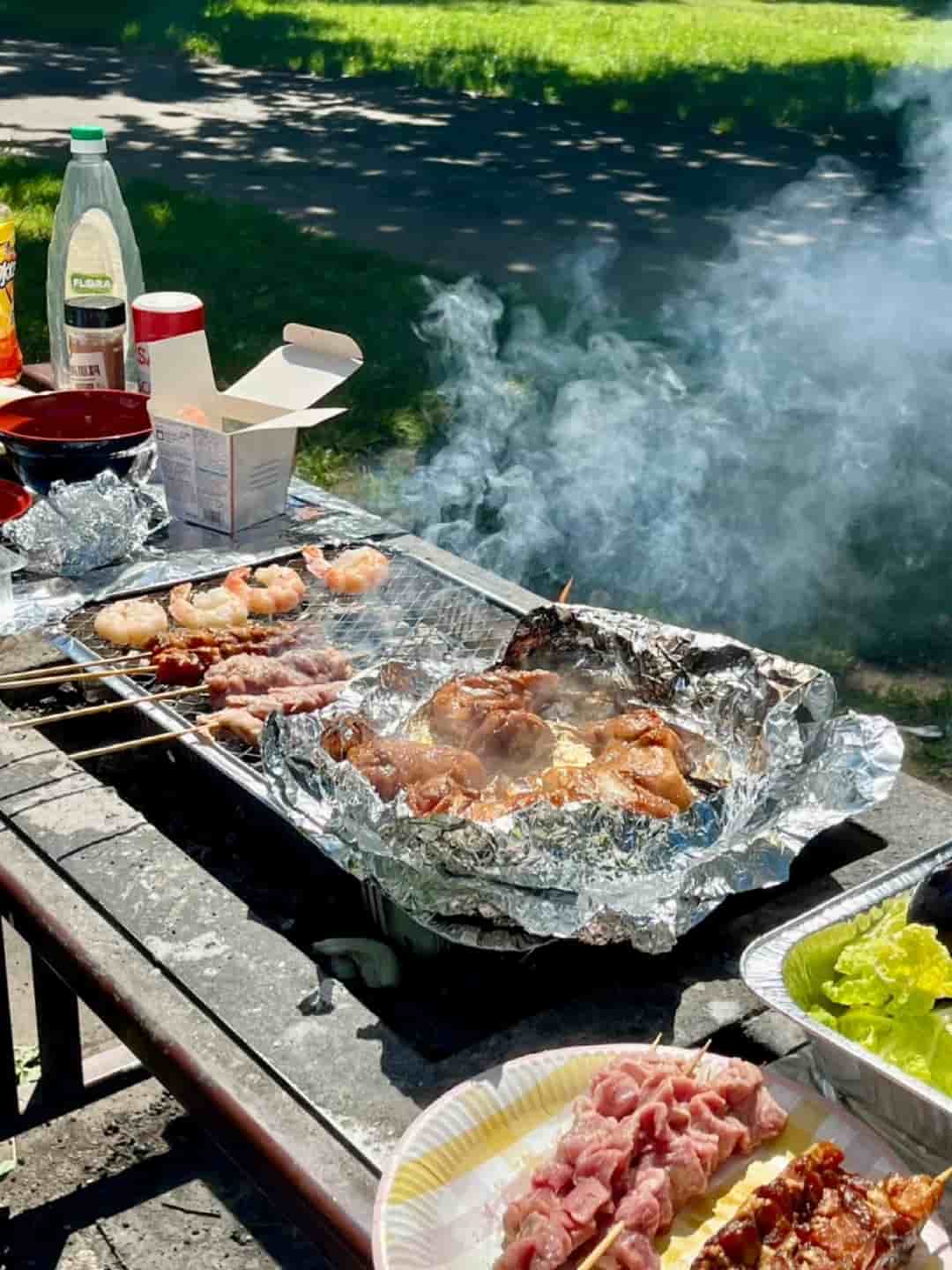 3 Foil Packets Recipes Ideas for Camping Let You Love the Coals