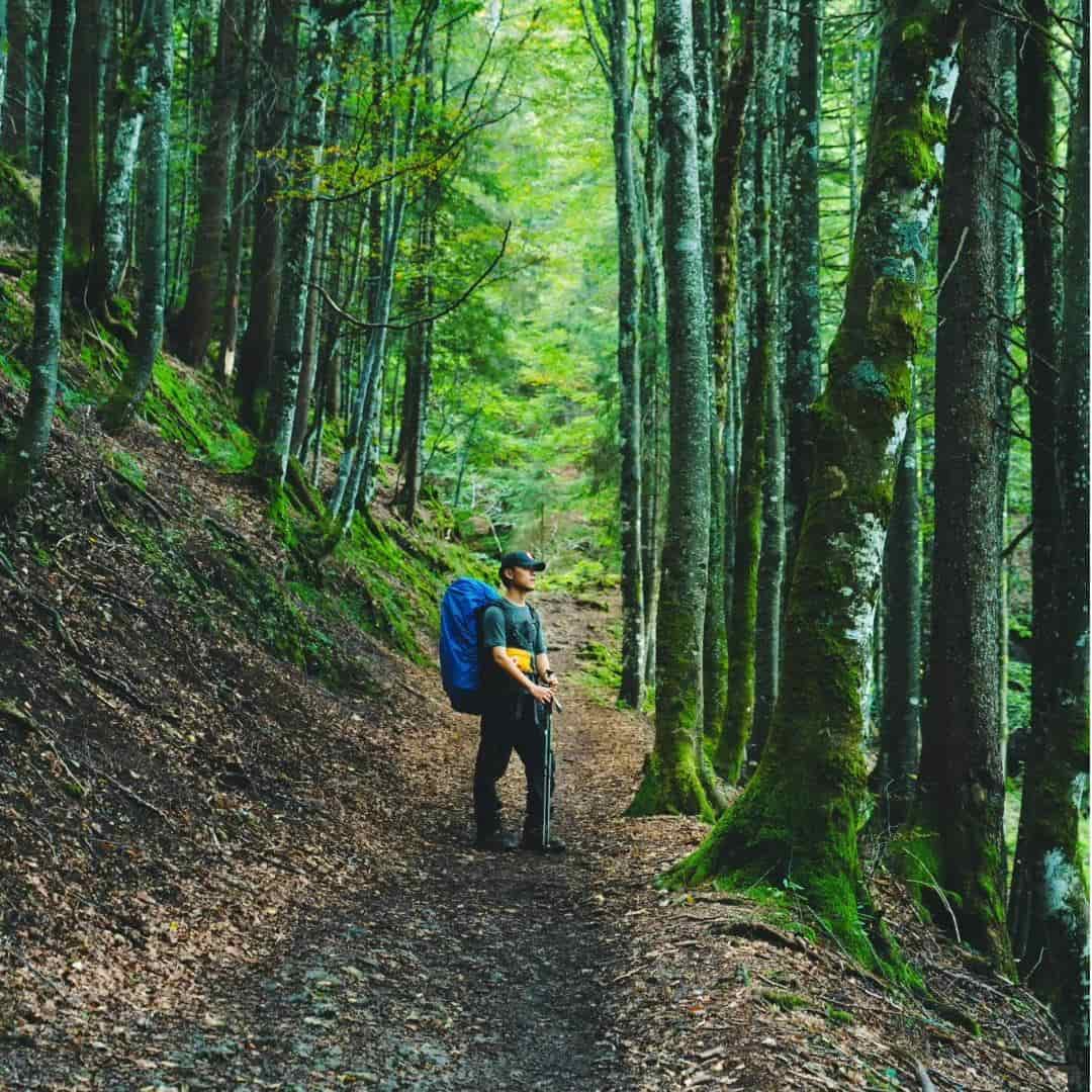 20 Forest Camping Tips: How to Survive the Damp, Buggy, Glorious Woods？