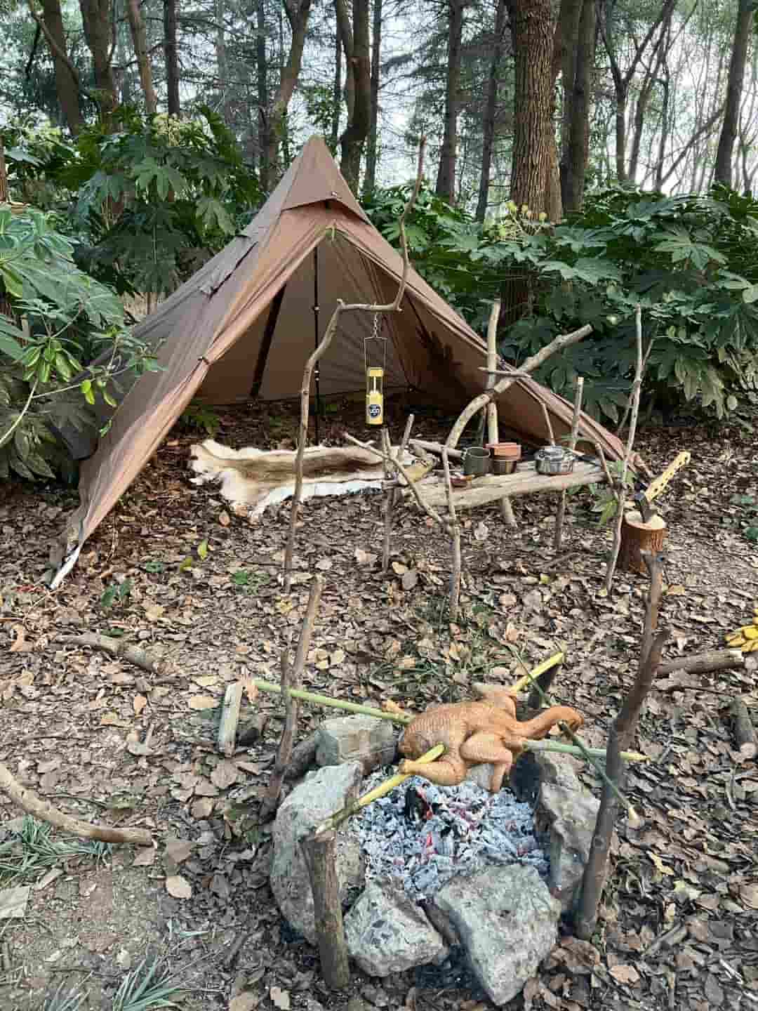 17 Wildlife Safety Tips While Camping