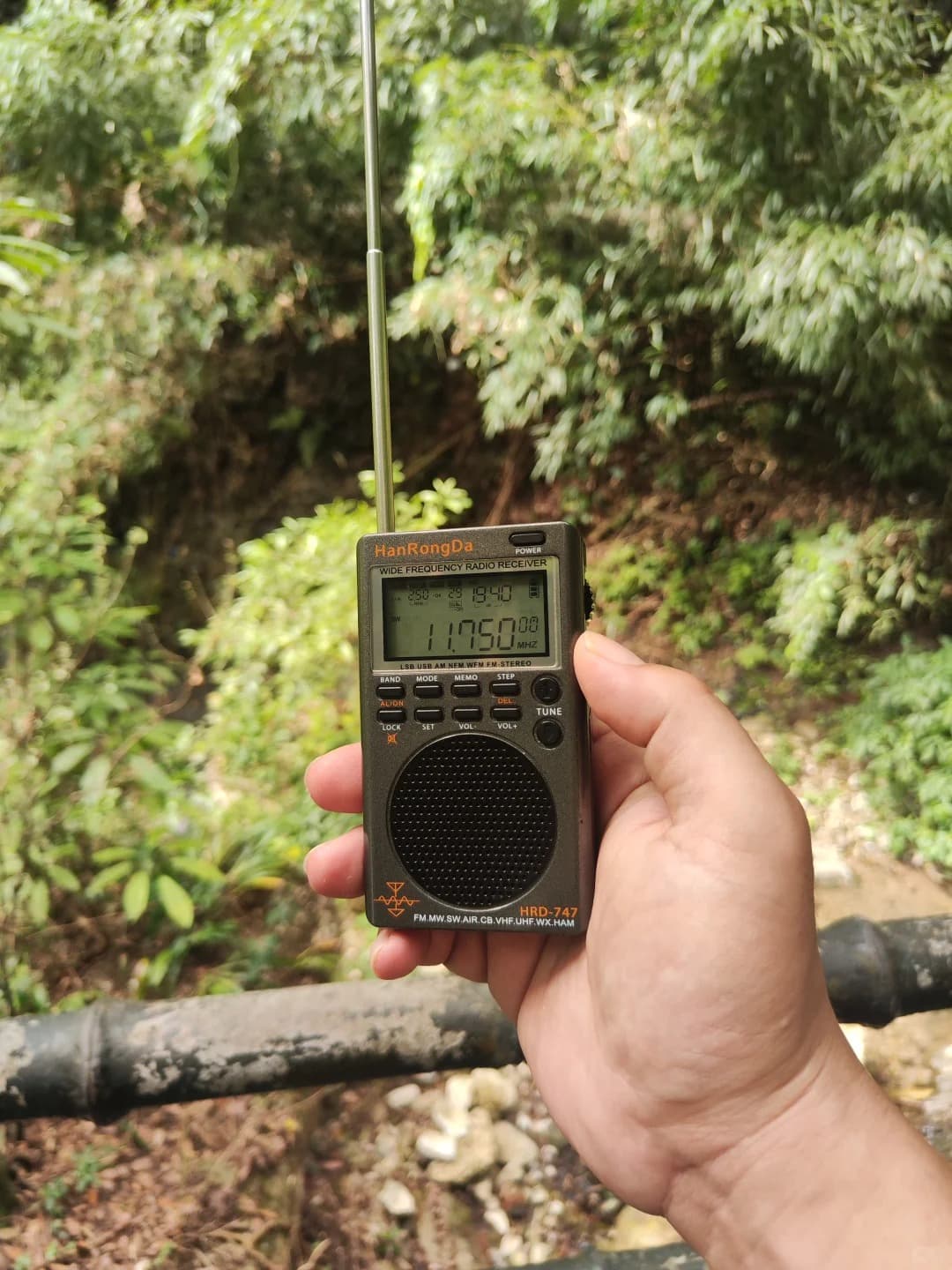 20 Ways to Stay Connected While Camping in the Woods